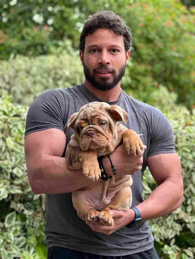 Hank