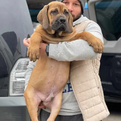 Axel