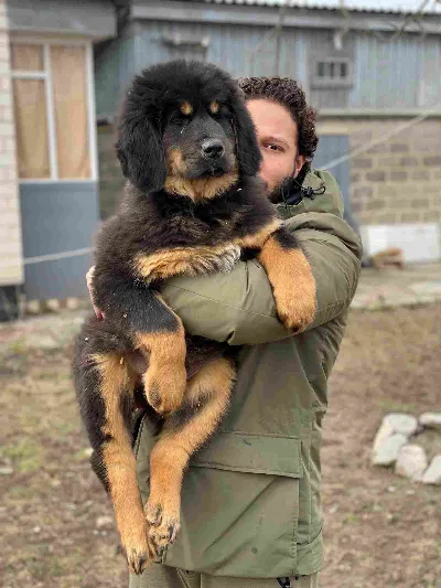 Jax