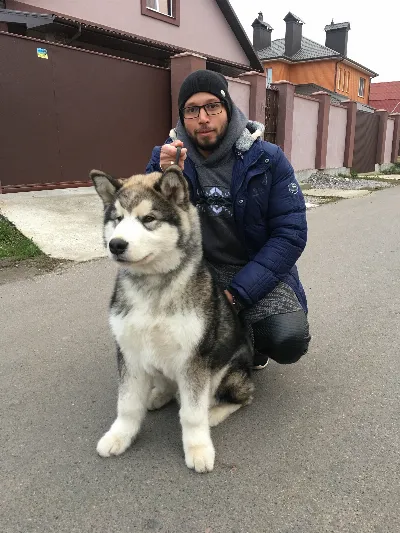 Jax