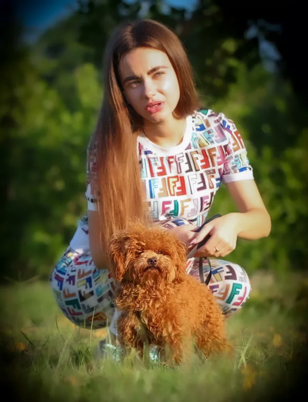 Poodle Teddy