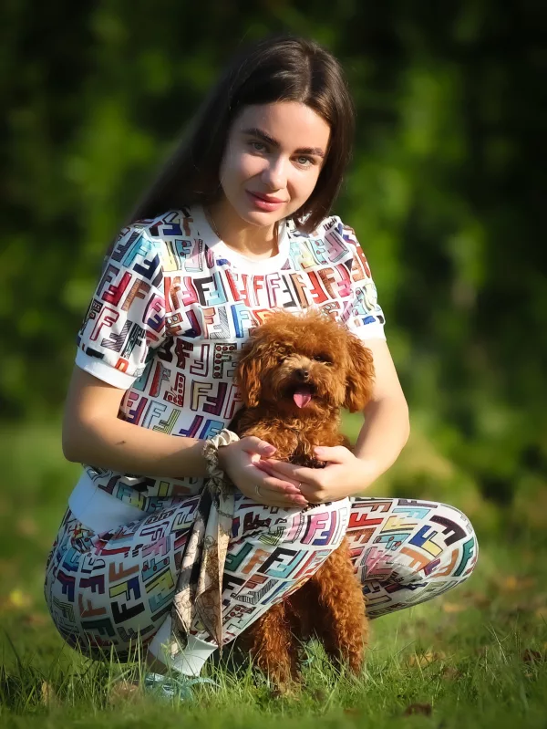 Poodle Teddy