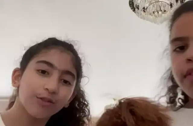 Toy Poodle client journey